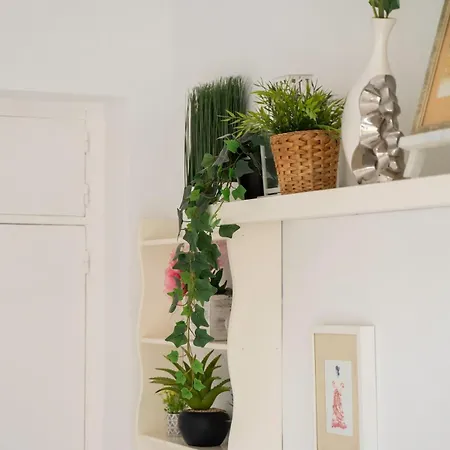 Sun-drenched, Sea-view With Giant Patio!