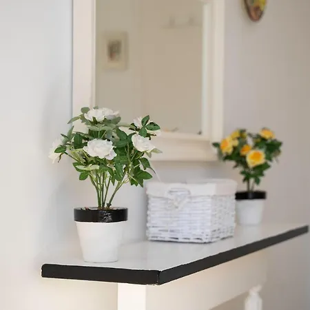 Sun-drenched, Sea-view With Giant Patio!