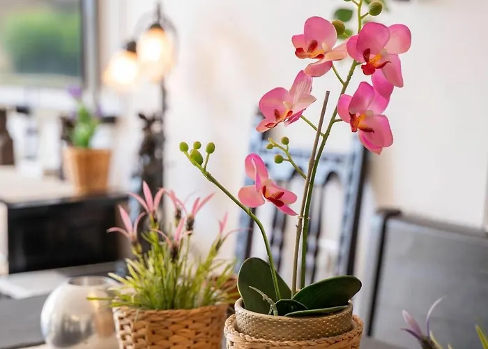 Sun-drenched, Sea-view With Giant Patio!