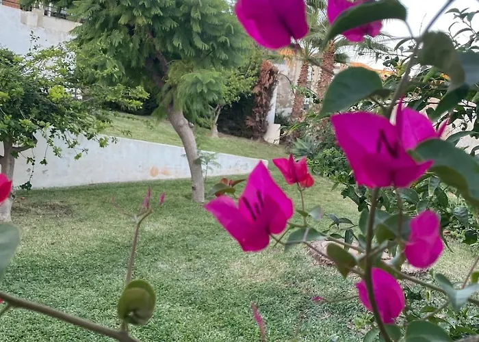 Sun-drenched, Sea-view With Giant Patio! Appartamento Fuengirola