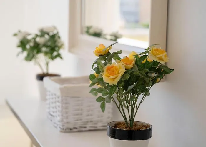 Sun-drenched, Sea-view With Giant Patio! Appartamento *