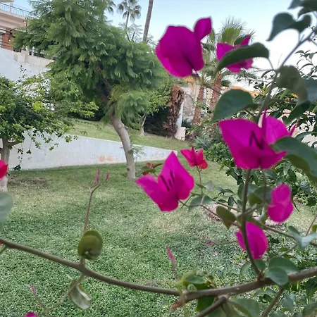 Sun-drenched, Sea-view With Giant Patio! Apartment Fuengirola