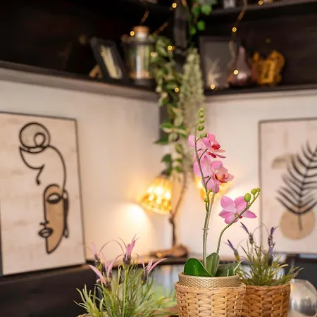 Apartment Sun-drenched, Sea-view With Giant Patio!