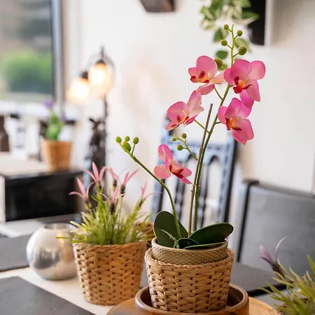 Sun-drenched, Sea-view With Giant Patio!