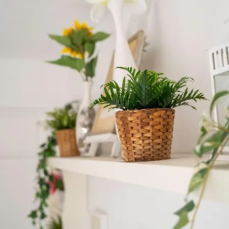 Appartement Sun-drenched, Sea-view With Giant Patio! *
