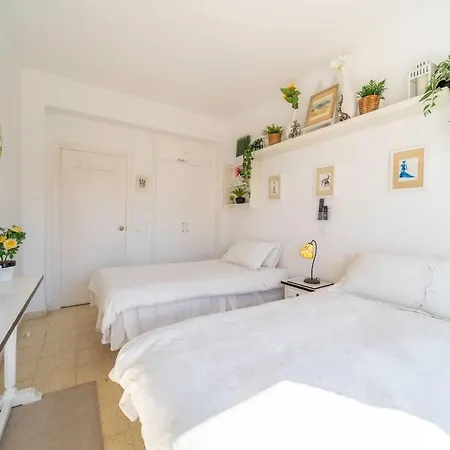 Sun-drenched, Sea-view With Giant Patio! Appartement *