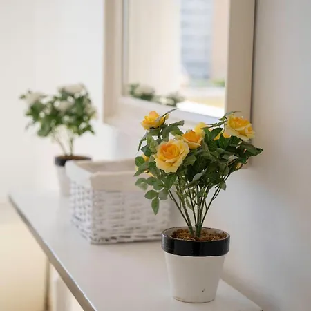 Sun-drenched, Sea-view With Giant Patio! Appartement *